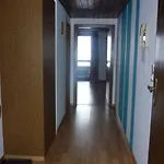 Hasenauer Apartman *