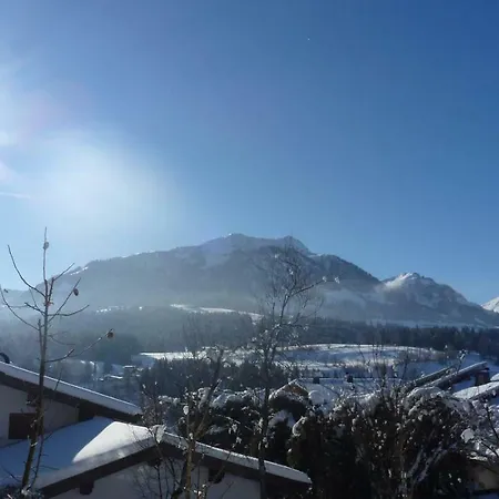 Hasenauer *