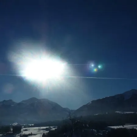 Hasenauer 菲伯布伦