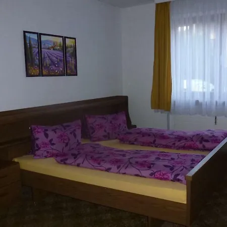 Apartment Hasenauer